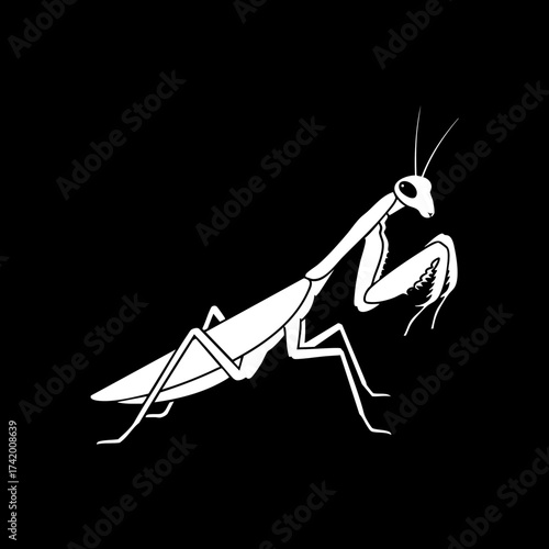Elegant praying mantis insect silhouette vector illustration on black background.