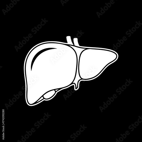 Human liver organ outline icon medical anatomy illustration for health concepts.