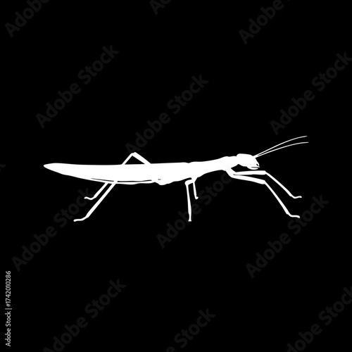 Minimalist white praying mantis silhouette against a dark background.