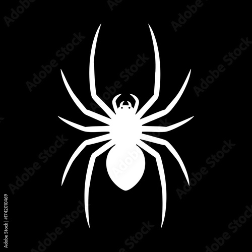 White spider silhouette on black background vector illustration 1.