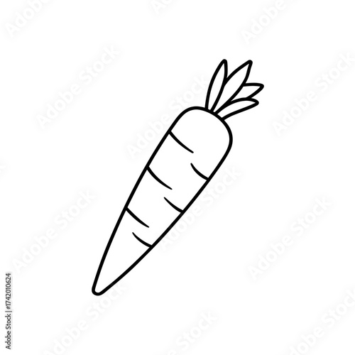 Outline drawing of a carrot on transparent background