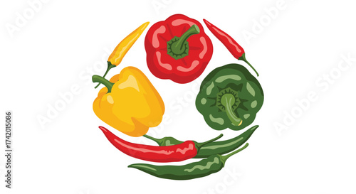 A colorful arrangement of fresh peppers in a circular pattern.