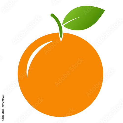 vector illustration of orange fruit