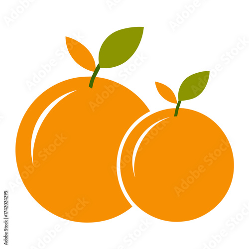 orange fruit vector illustration