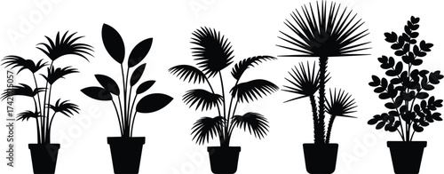 Black and white potted plant silhouettes collection, tropical houseplants vector art, minimalist botanical design, modern eco home decor illustration