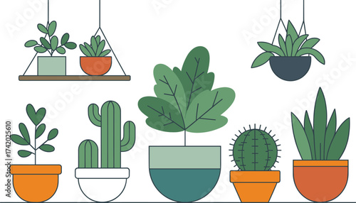 Colorful indoor potted plants illustration, minimalist botanical vector art, modern home decor design, green lifestyle, cactus and succulent collection