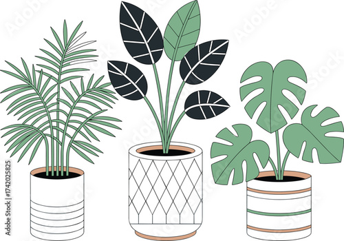 Minimalist illustration of three potted indoor plants, modern botanical design, tropical leaf art, home decor vector, green lifestyle concept