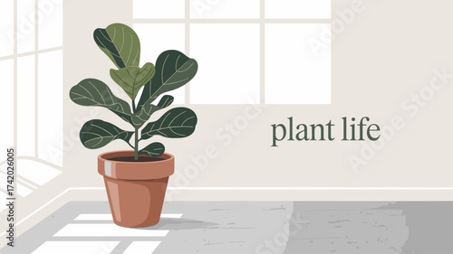 Minimalist indoor plant illustration in terracotta pot, natural sunlight shadow design, modern home decor concept, green lifestyle vector art