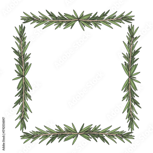 Rosemary Frame Border Design Element.