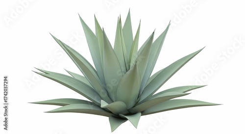 Blue Agave Plant Isolated on White Background Perfect for Tequila Mezcal and Desert Landscape Projects
