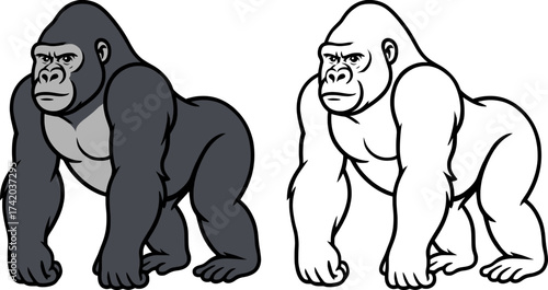 color and black and white vector illustration of a gorilla suitable for print, poster and coloring page