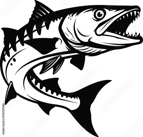 Jumping barracuda fish mascot, aggressive saltwater predator vector illustration