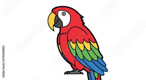 Vibrant macaw illustration with bold outline and bright hues, ideal for children's designs or playful graphic projects
