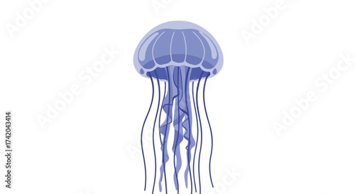 Stylized jellyfish illustration with delicate translucent details creates an oceanic feeling underwater floating creature isolated on white background