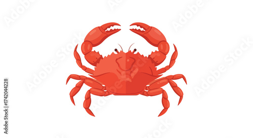 Vibrant red crab illustration with extended claws and intricate carapace details in a cartoon style isolated on a white background