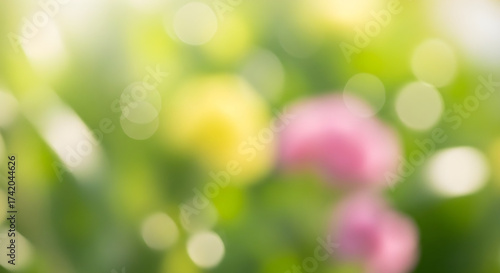 Abstract blurred background of flowers and greenery bokeh
