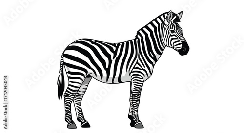 Striking zebra illustration with bold black and white stripes on a pristine white canvas showcasing classic animal graphics and simplistic style