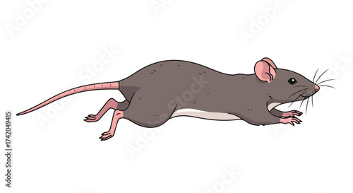 Cartoon illustration depicting a gray-brown rat in motion against a plain white background with clear delineation