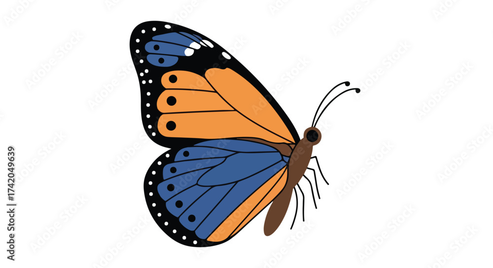 Obraz premium Illustrative depiction of a monarch butterfly with vibrant wing patterns against a clean white background showcasing the intricate details and