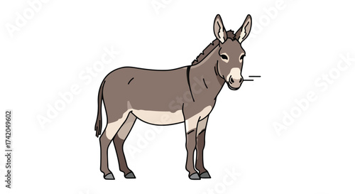 Illustration of a Standing Donkey with Brown and Gray Fur on a White Background showing its details of anatomy and form