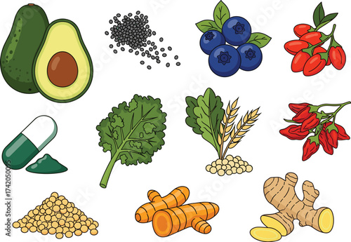 Superfoods Vector Icons Set – Avocado, Chia Seeds, Berries, and Healthy Nutrition Illustrations