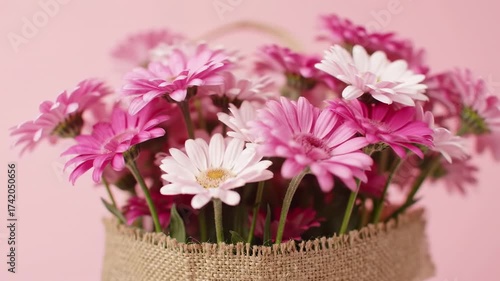 Wallpaper Mural Pink Gerbera Daisies in a Woven Basket A Floral Delight Torontodigital.ca