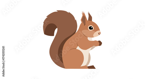Cartoon brown squirrel with a fluffy tail isolated on white illustration wildlife animal character cute woodland mammal rodent forest animal