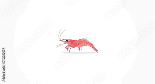 Stylized Shrimp Illustration with Delicate Watercolor Texture on Bright Background creates a calm mood on the view 165 characters