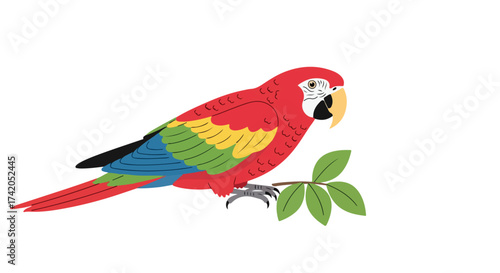 Vibrant vector illustration of a scarlet macaw perched on a branch on a clean white backdrop showcasing rich colors and precise details in a