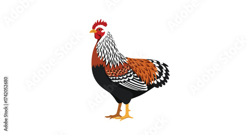 Illustration of a majestic rooster with striking plumage against a clean white backdrop, capturing rural essence and vibrant color details