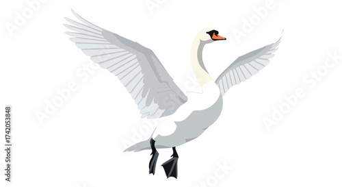 Elegant swan gracefully extends wings, preparing for flight against simple backdrop depicting freedom and serenity in nature illustration
