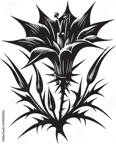 Intricate Black and White Illustration of a Thistle Flower in Detailed Linework Style