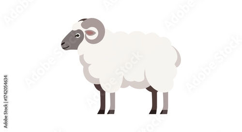 Stylized vector illustration of a ram with curly horns and fluffy fleece, ideal for educational content or digital design projects representing farm