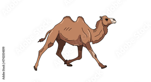 Caricature of a galloping dromedary presented on a clean white backdrop portraying desert life and animal design