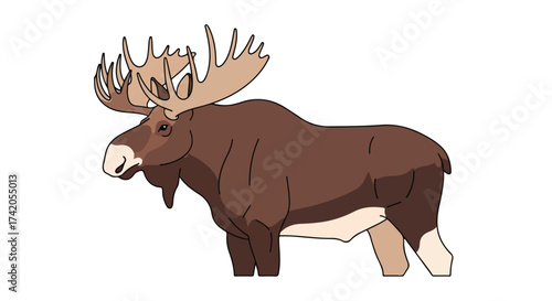 Illustration of a majestic cartoon moose with large antlers standing tall against a plain white backdrop image