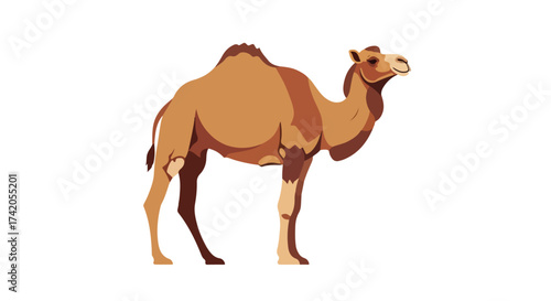 Stylized illustration of a dromedary camel standing isolated against a white background offering a clear and simplistic representation