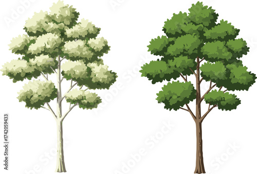 Two illustrated trees side by side, light trunk pale green foliage, dark trunk rich green foliage, seasonal comparison nature concept, cad drawing flat vector illustration