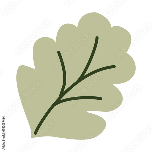 Fresh green cabbage and lettuce leaves, organic salad ingredients, healthy vegetarian food, farm-grown leafy greens, nutritious diet, plant-based eating. Vector illustration in flat style.
