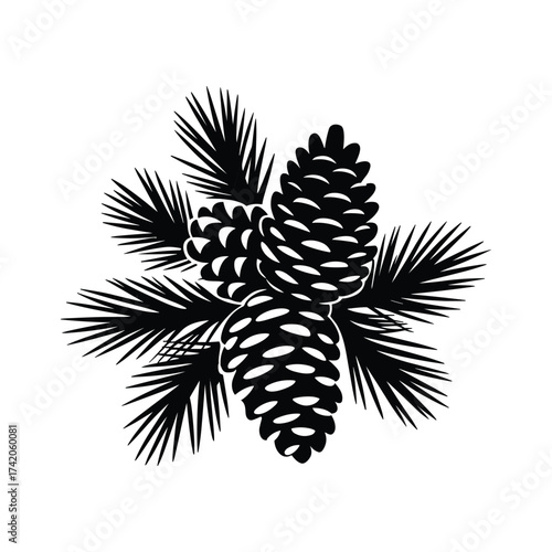 Detailed pine cones and evergreen branches artful arrangement seasonal nature graphic design