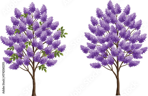 Purple flowering trees, spring blossom landscape, vibrant floral canopy, seasonal nature background, blooming garden scene, botanical illustration, decorative foliage artwork, 