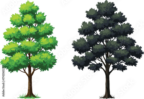 Healthy green tree and dead burned tree side by side, contrast of life and decay, environmental nature concept, cad drawing flat vector illustration