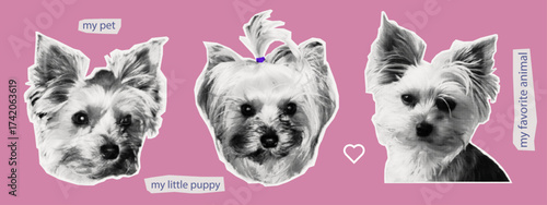 Portraits of cute puppies for collage design. A dog head with expressions, paper scraps with jagged edges, and pets cut out from a magazine. A collection dogs, of halftone style. Contemporary art.