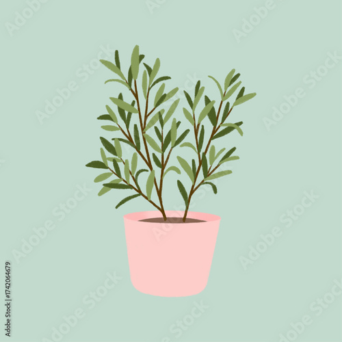 Illustration of a small green potted plant in a pink pot on a light blue background