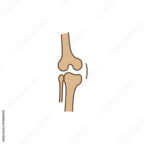 Simple line drawing of a human knee joint anatomy with cartilage and ligaments silhouette Flat design vector illustration isolated on a white background