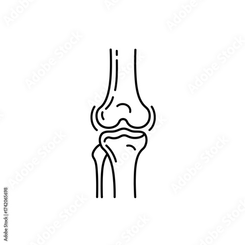 Anatomical line drawing of a human knee joint with bones and cartilage silhouette Flat design vector illustration isolated on a white background