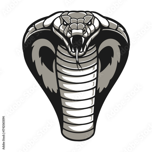 Fierce cobra head symbol powerful serpent reptile graphic design silhouette Flat design vector illustration isolated on a white background