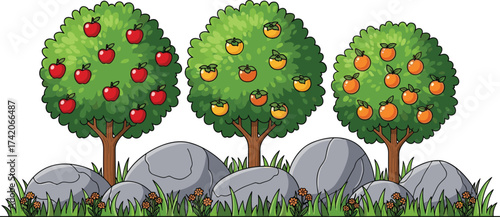Apple trees, orange trees, fruit orchard illustration, natural garden, healthy food, green leaves, organic farming, harvest, agriculture, landscape design