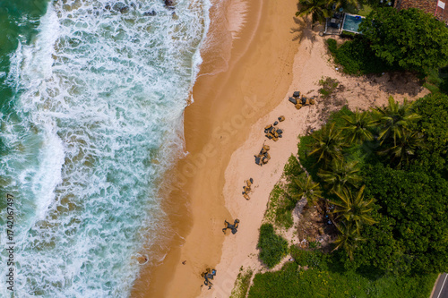 Drone angle view of paradise: Sri Lanka’s lush palms and endless ocean horizon