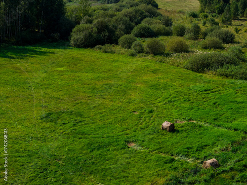 Partly abandoned meadows in autumn