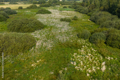 Partly abandoned meadows in autumn